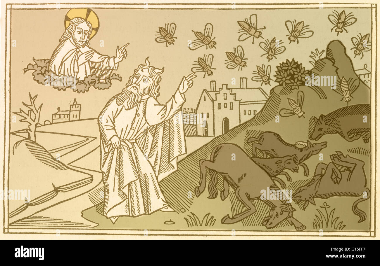 "Siehe, die Hand des Herrn ist auf dein Vieh." Holzschnitt, in denen Gott Krankheit senden, um das Vieh von Ägypten aus die neunte deutsche Bibel (Kölner Bibel), 1483 zu töten. Die Plagen Ägyptens wurden zehn Katastrophen, die nach dem biblischen Buch Exo Stockfoto