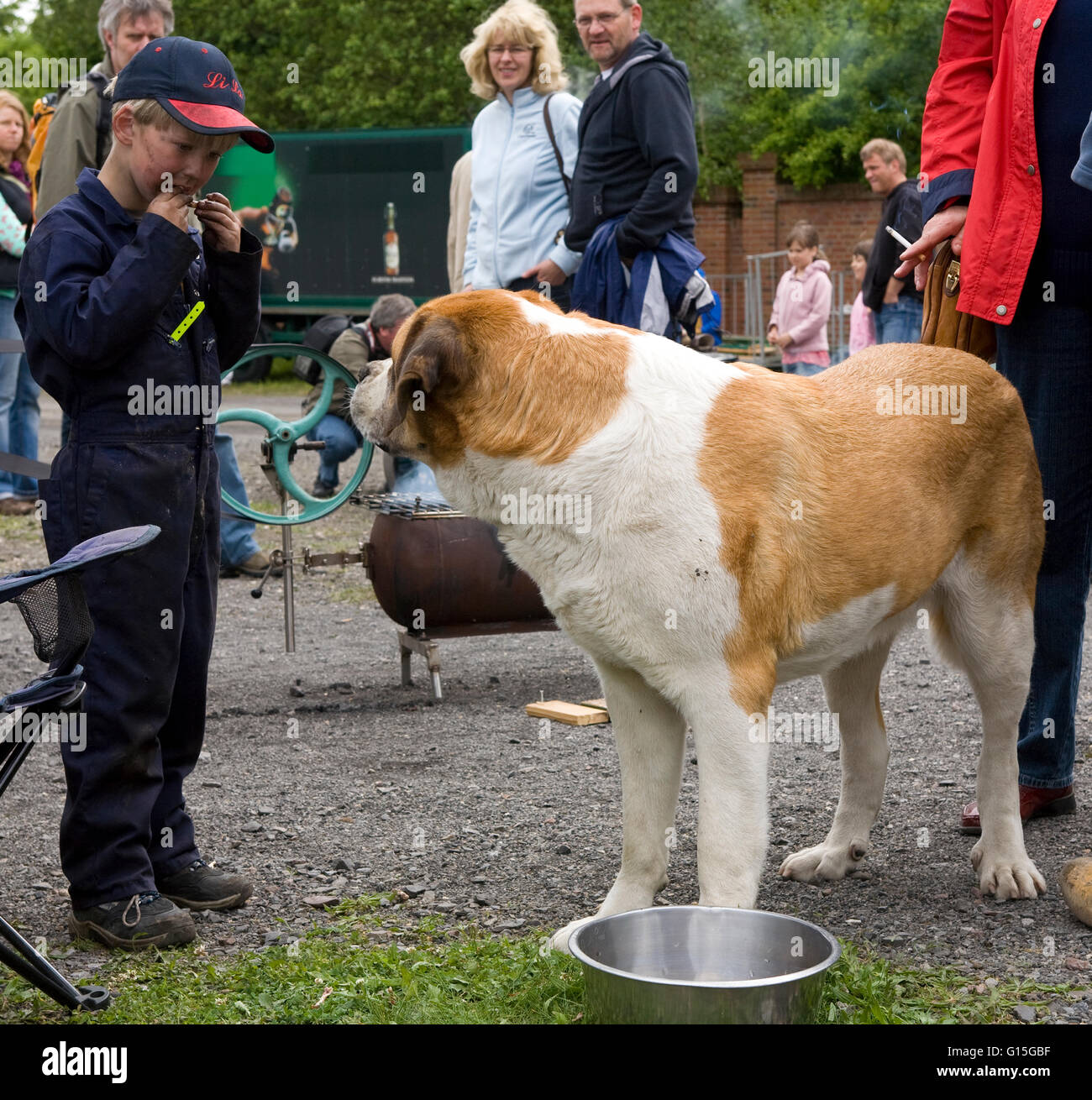 Europa, Deutschland, North Rhine-Westphalia, Ruhr Gebiet, Bochum, junge einen Knochen nagt, Hund beobachtet ihn. Stockfoto