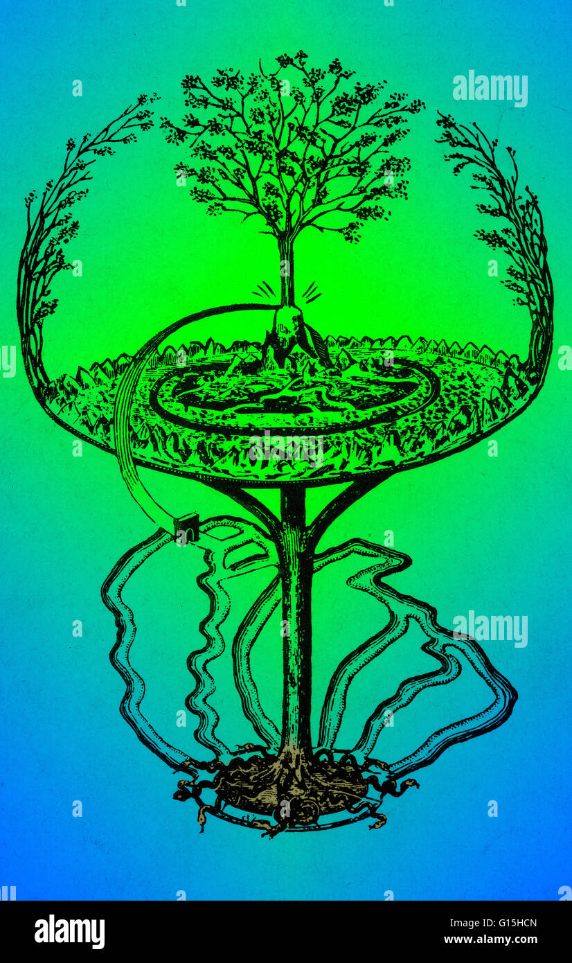 Yggdrasil Bilder Yggdrasil Bilder