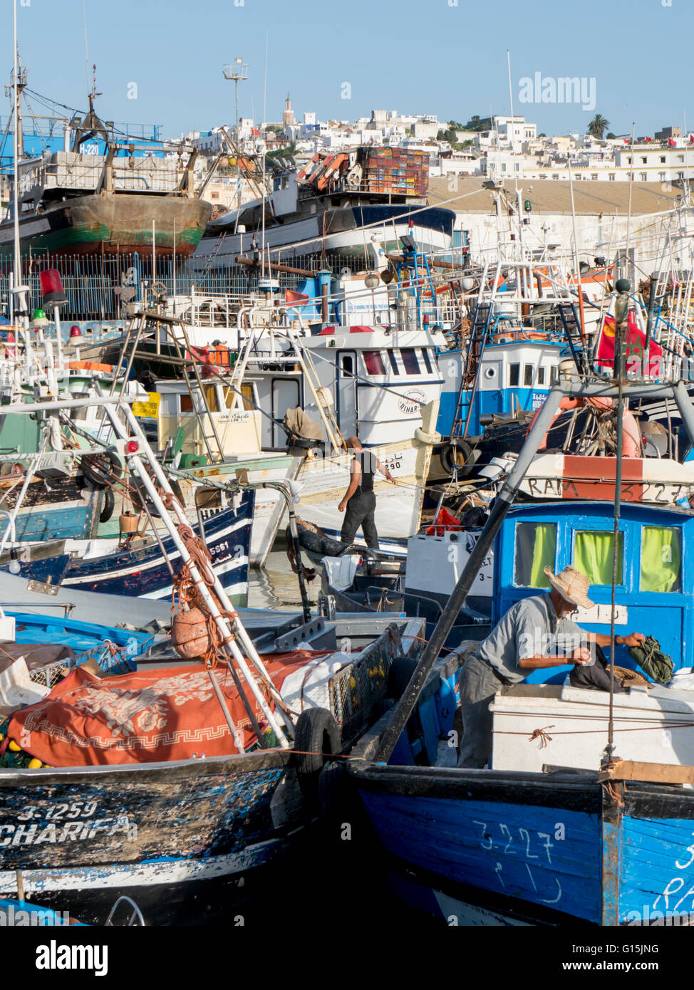 Angelboote/Fischerboote im Hafen, Tanger, Marokko, Nordafrika, Afrika Stockfoto