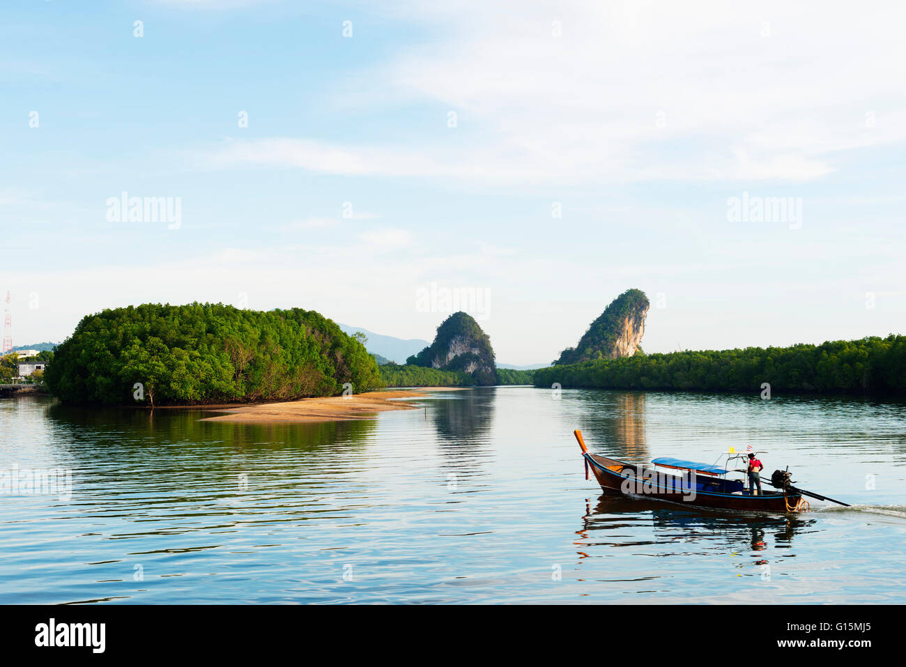 Mangrovenwald auf Krabi-Mündung, Krabi, Thailand, Südostasien, Asien Stockfoto