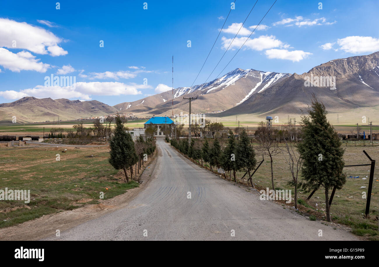 Arak arak Fotos und Bildmaterial in hoher Auflösung Alamy