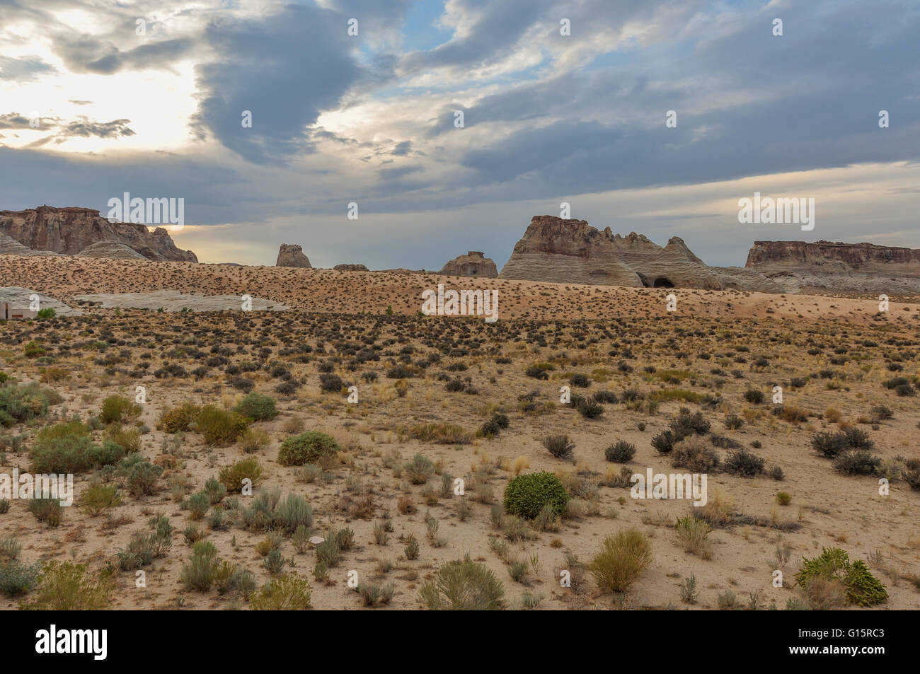 Wüstenlandschaft im späten Nachmittag Stockfoto