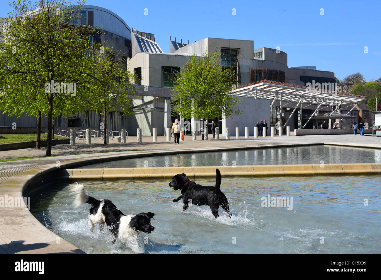 Edinburgh, Schottland, Vereinigtes Königreich, 09, Mai 2016. Das schottische Parlament sonnt sich in der Frühlingssonne auf den Tag, an dem neugewählten MSPs für den ersten Tag, Credit kommen: Ken Jack / Alamy Live News Stockfoto