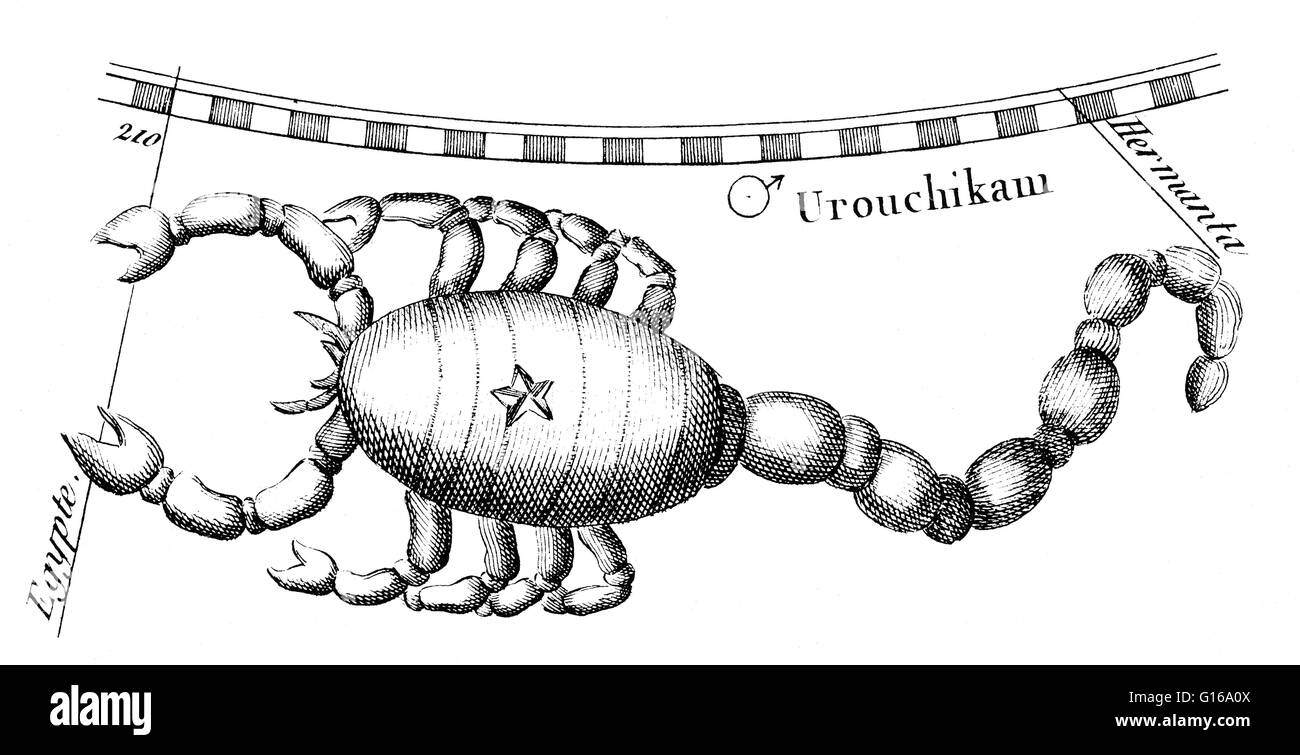 Scorpius, manchmal bekannt als Skorpion, ist eines der Sternbilder des Tierkreises. Sein Name ist lateinisch für Scorpion. Es ist eines der 48 Sternbilder von der 2. Jahrhundert Astronom Ptolemäus beschrieben und bleibt eines der 88 modernen Sternbilder definiert b Stockfoto
