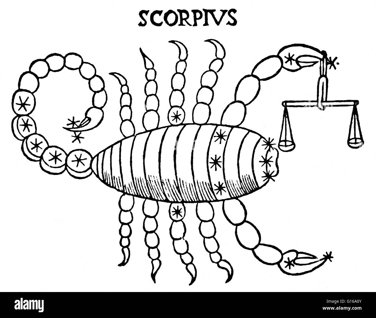 Scorpius, manchmal bekannt als Skorpion, ist eines der Sternbilder des Tierkreises. Sein Name ist lateinisch für Scorpion. Es ist eines der 48 Sternbilder von der 2. Jahrhundert Astronom Ptolemäus beschrieben und bleibt eines der 88 modernen Sternbilder definiert b Stockfoto