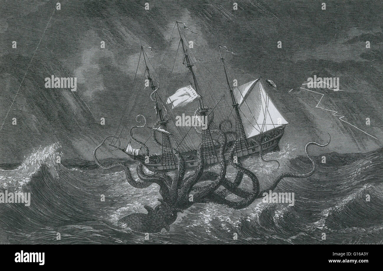 Kraken Englisch Kraken Englisch