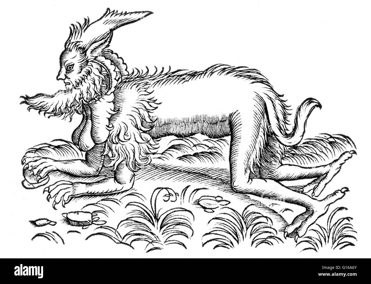 Satyr von Conrad Gesner Historiae Animailum. In der griechischen Mythologie sind die Satyrn Gottheiten von den Wäldern und Bergen. Sie sind halb Mensch und halb Tier; Sie haben meist eine Ziege Schweif, Flanken und Hufe. Während der obere Teil des Körpers, die ein Brummen ist Stockfoto