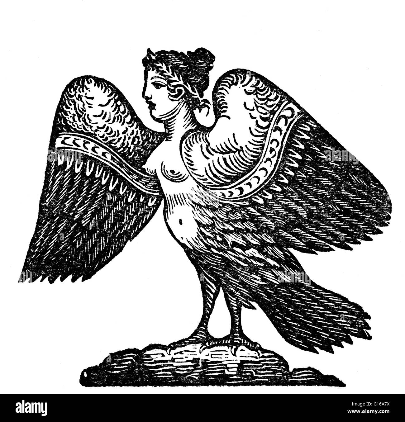 In früheren Versionen der griechischen Mythologie wurden Harpies als schöne, geflügelte Mädchen beschrieben. Später sie wurden geflügelte Monster mit dem Gesicht eine hässliche alte Frau und mit krummen, scharfen Krallen ausgestattet. Oft beschrieben als ein Heißhunger, dreckigen Monster mit einem wo Stockfoto
