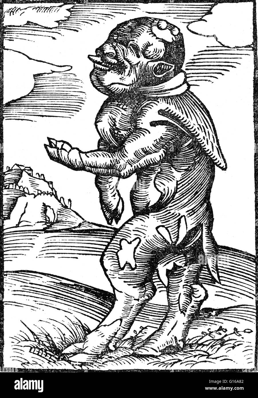 Ein Beispiel für ein Monster dargestellt werden, für einen politischen Zweck ist der Mönch Kalb. Lucas Cranach der ältere (1472 - 16 Oktober 1553) war ein deutscher Renaissance-Maler und Grafiker in Holzschnitt und Kupferstich. Er produzierte auch eine Reihe von gewalttätigen Anti-Catholi Stockfoto