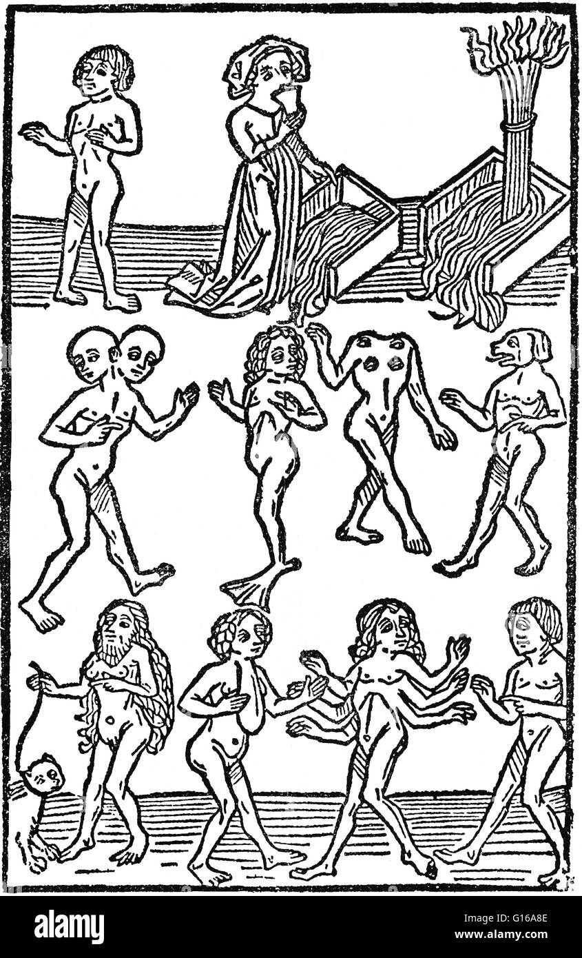 Holzschnitt aus Buch der Natur von Konrad von Megenberg (1309-1374). Konrad war ein deutscher katholischer Gelehrter und gehörte zu den produktivsten deutschen Schriftstellern des 14. Jahrhunderts. Seine bekanntesten und die meisten viel gelesenen Werk ist seine "Buch der Natur', Sti Stockfoto
