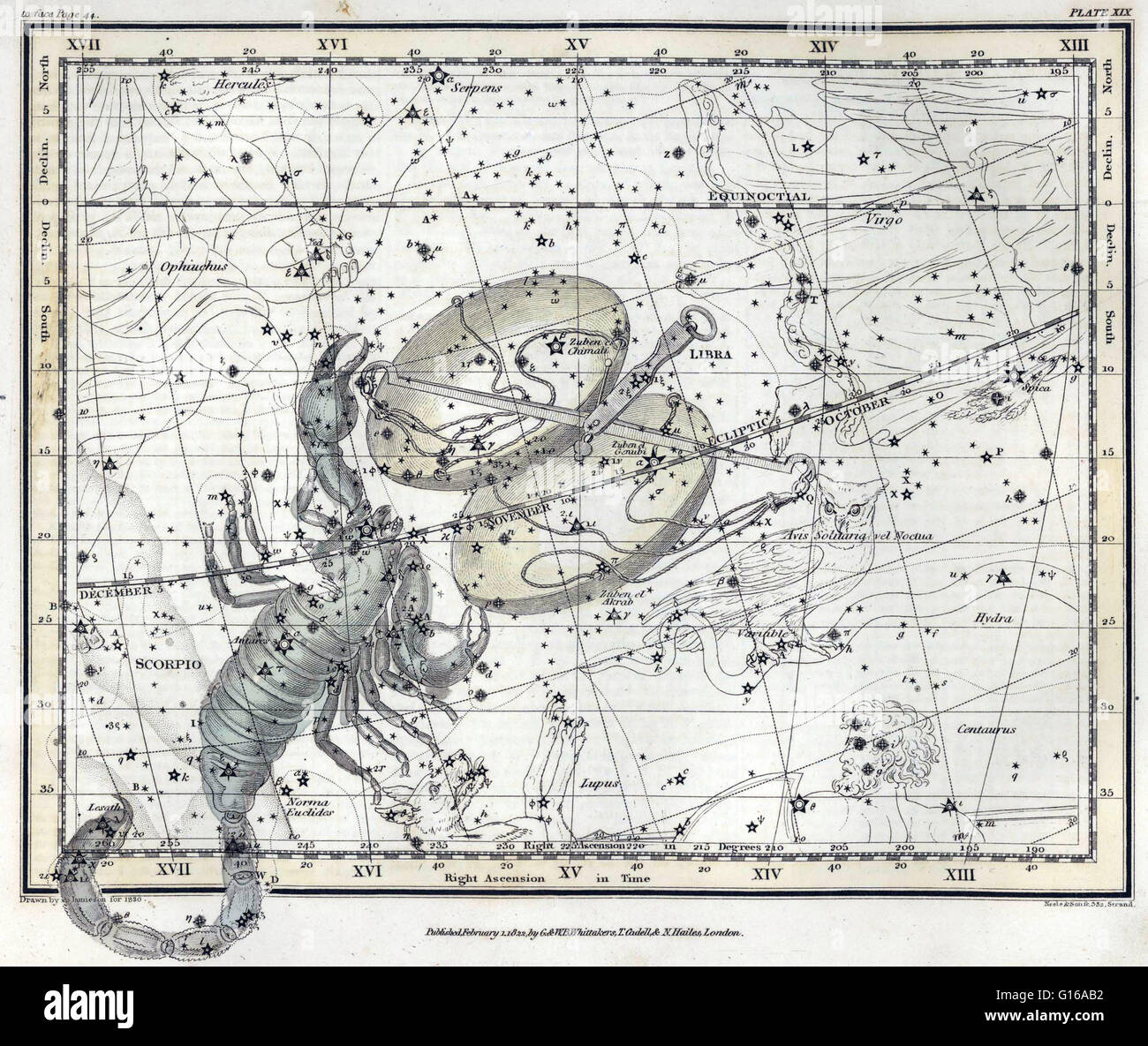 Scorpius, manchmal bekannt als Skorpion, ist eines der Sternbilder des Tierkreises. Sein Name ist lateinisch für Scorpion. In der griechischen Mythologie enthalten die Mythen im Zusammenhang mit Skorpion fast immer auch einen Verweis auf Orion. Nach einem dieser Mythen Ori Stockfoto