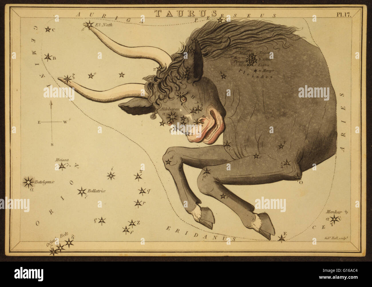 Astronomische Diagramm des Stiers bilden das Sternbild Taurus zeigt auch die Plejaden. Taurus ist eines der Sternbilder des Tierkreises. Sein Name ist ein lateinisches Wort Bedeutung Stier. Es ist eines der 48 Sternbilder von 2.Jahrhundert Astron beschrieben Stockfoto