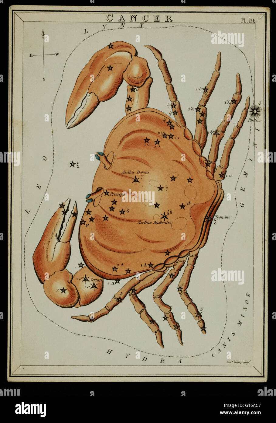 Astronomische Diagramm bilden das Sternbild Krebs. Krebs ist eine der Sternbilder des Tierkreises. Es ist eines der 48 Sternbilder von der 2. Jahrhundert Astronom Ptolemäus beschrieben, und bleibt eines der 88 modernen Sternbilder durch th definiert Stockfoto