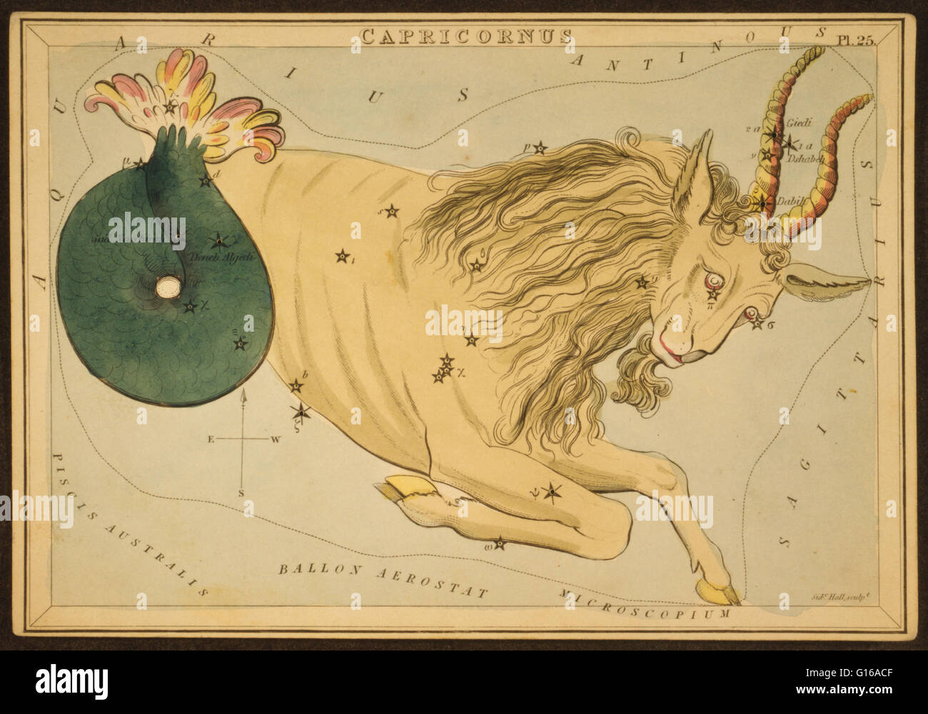 Astronomische Diagramm eine Ziege bildet die Konstellation. Capricornus ist eines der Sternbilder des Tierkreises, heißt oft Steinbock, vor allem, wenn das entsprechende Sternzeichen gemeint. Sein Name ist lateinisch für "gehörnte Ziege" oder "gehen Stockfoto