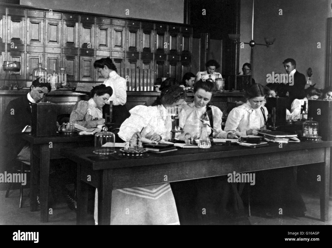 Studenten in einem Science-Klasse Mikroskopie, ist Western High School in Washington High-School eine Institution, die ganz oder teilweise der Sekundarstufe i bietet. Fotografiert von Frances "Fannie" Benjamin Johnston (15. Januar 1864 - 16. Mai 1952) war Stockfoto