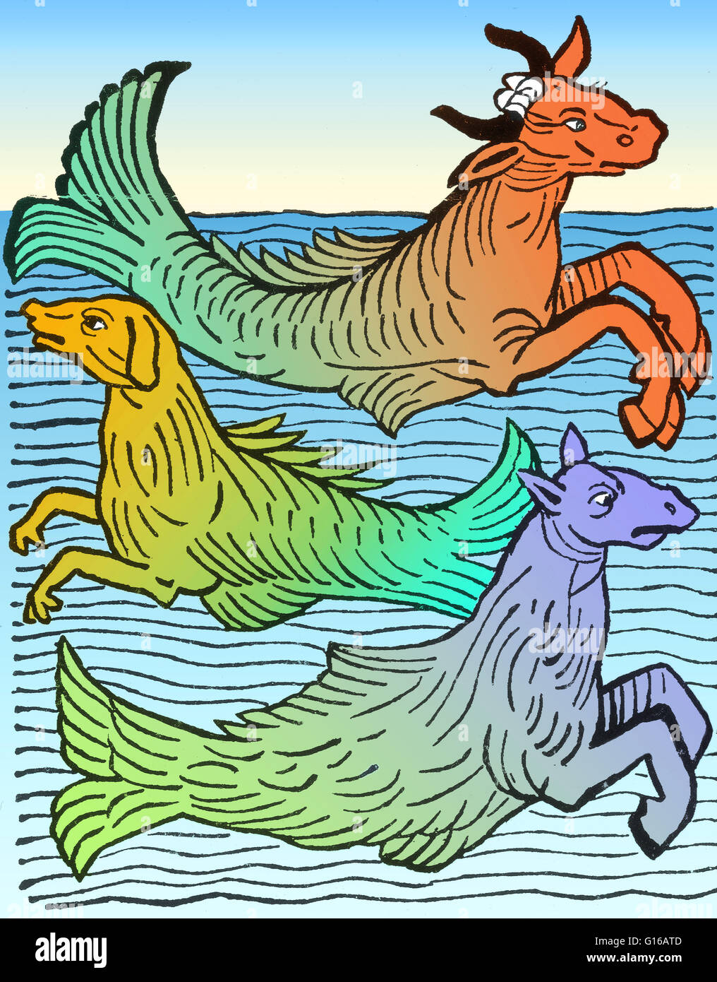 Holzschnitt von drei mythischen Meeresbewohner (Seekuh, Seebär und Seepferdchen) von Hortus Sanitatis gedruckt von Jacob Meyderbach, 1491. Kleine Haie erhielten den Namen Seebären oder Katzenhai, denn sie haben scharfe Zähne und Volksmeinung machte sie die Stockfoto