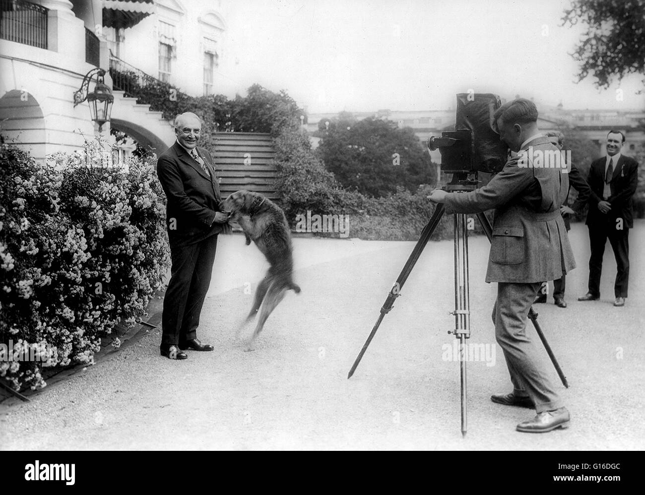 Präsident Harding mit Hund Laddie Boy, fotografiert vor dem weißen Haus. Warren Gamaliel Harding (2. November 1865 - 2. August 1923) war der 29. Präsident der Vereinigten Staaten (1921-23), ein Republikaner aus Ohio, der in den Ohio Sen serviert Stockfoto