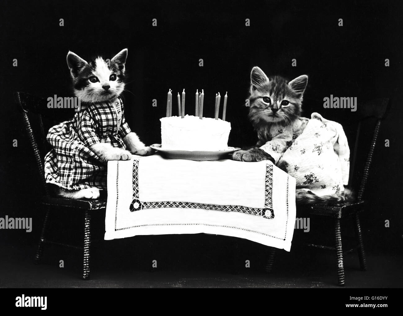 Titel: "Geburtstagstorte" zeigt zwei Kätzchen tragen Kleider an einem Tisch mit einer Geburtstagstorte. Harry Whittier befreit (1879-1953) war ein US-amerikanischer Fotograf, der lebende Tiere gekleidet und posierte in menschlichen Situationen mit Requisiten fotografiert. Seine tierischen pho Stockfoto