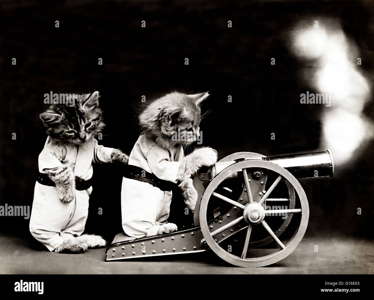 Titel: "Feuer!" zeigt zwei Kätzchen Kleidung Abfeuern einer Kanone. Harry Whittier befreit (1879-1953) war ein US-amerikanischer Fotograf, der lebende Tiere gekleidet und posierte in menschlichen Situationen mit Requisiten fotografiert. Seine Tierfotos wurden auf Post ca vorgestellt. Stockfoto
