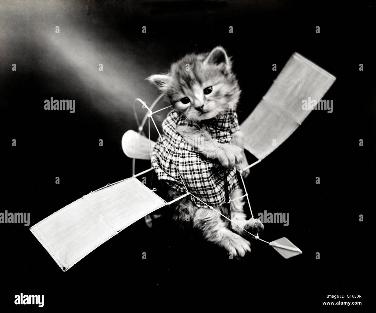 Unter dem Titel: "Die Flieger" zeigt eine Kätzchen trägt ein Kleid in einem Spielzeug-Segelflugzeug platziert. Harry Whittier befreit (1879-1953) war ein US-amerikanischer Fotograf, der lebende Tiere gekleidet und posierte in menschlichen Situationen mit Requisiten fotografiert. Seine Tierfotos wurden featu Stockfoto