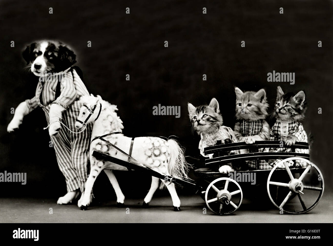 Unter dem Titel: "Eine Spritztour" zeigt einen Welpen und drei Kätzchen tragen Kleidung mit einem Spielzeugpferd und Wagen. Harry Whittier befreit (1879-1953) war ein US-amerikanischer Fotograf, der lebende Tiere gekleidet und posierte in menschlichen Situationen mit Requisiten fotografiert. Seine tierischen p Stockfoto
