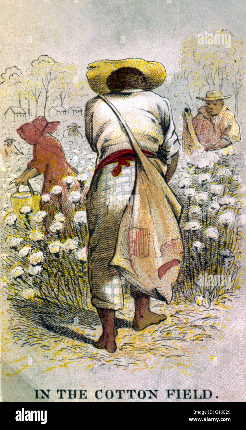 Unter dem Titel: "In dem Baumwollfeld" zeigt Afro-Amerikaner Kommissionierung Baumwolle. Der atlantische Sklavenhandel fand über den Atlantik vom 16. bis zum 19. Jahrhundert. Der Großteil dieser versklavt, die in die neue Welt, Wer transportiert wurden Stockfoto