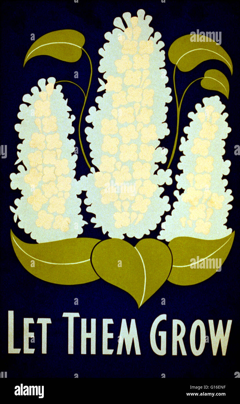 Titel: "Lasst sie wachsen". Plakat, die Förderung der Erhaltung der Blumen als natürliche Ressource. Die Federal Art Project (FAP) wurde die bildende Kunst-Arm des Programms Weltwirtschaftskrise Ära New Deal Works Progress Verwaltung Bundesrepublik Projekt Nummer eins im U Stockfoto