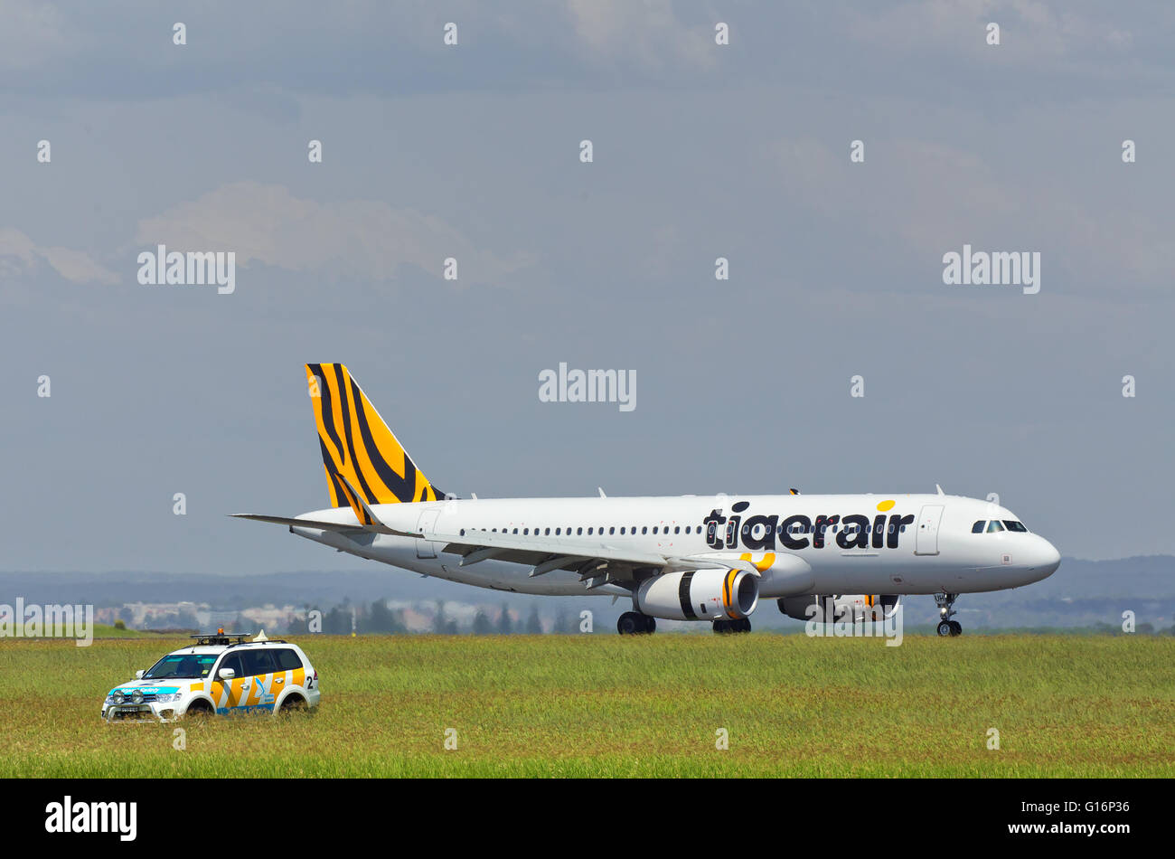 Safety-Car und Tiger Air Airbus am Flughafen Sydney. Stockfoto
