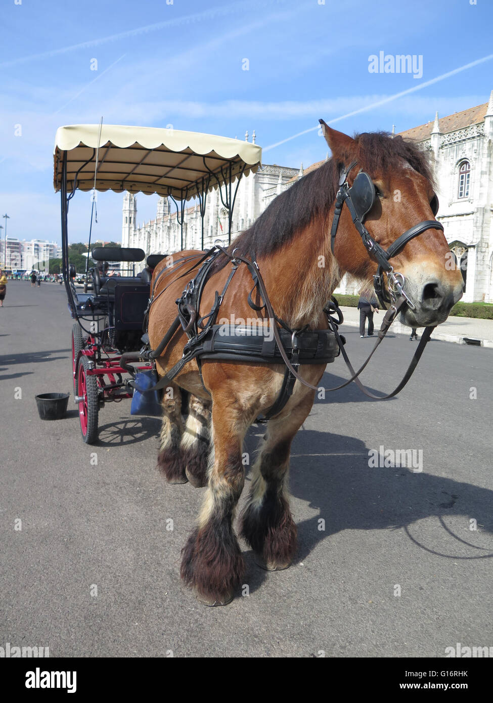 Pferd und Wagen wartet auf Kunden in Belem Viertel von Lissabon. Stockfoto