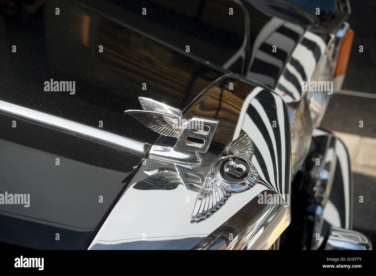 Heizkörper-Abzeichen und fliegenden B auf Bentley Oldtimer Stockfoto