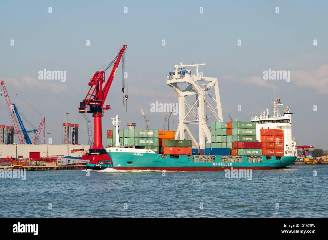 Containerschiff und Kräne in Wiltonhaven, Schiedam, Hafen von Rotterdam, Niederlande Stockfoto