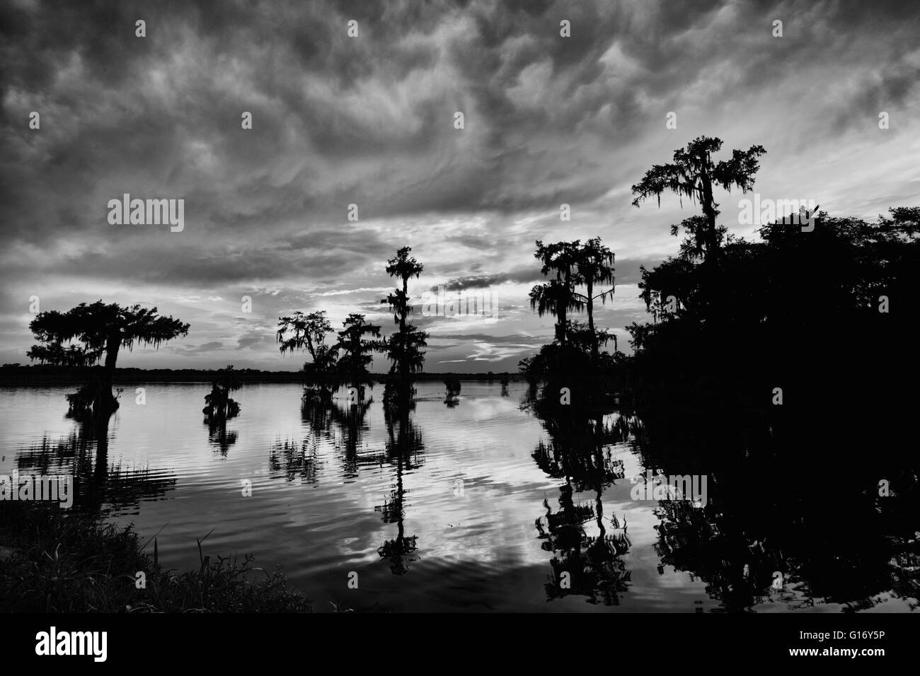 Lake Martin Sonnenuntergang = schwarz / weiß-Version Stockfoto