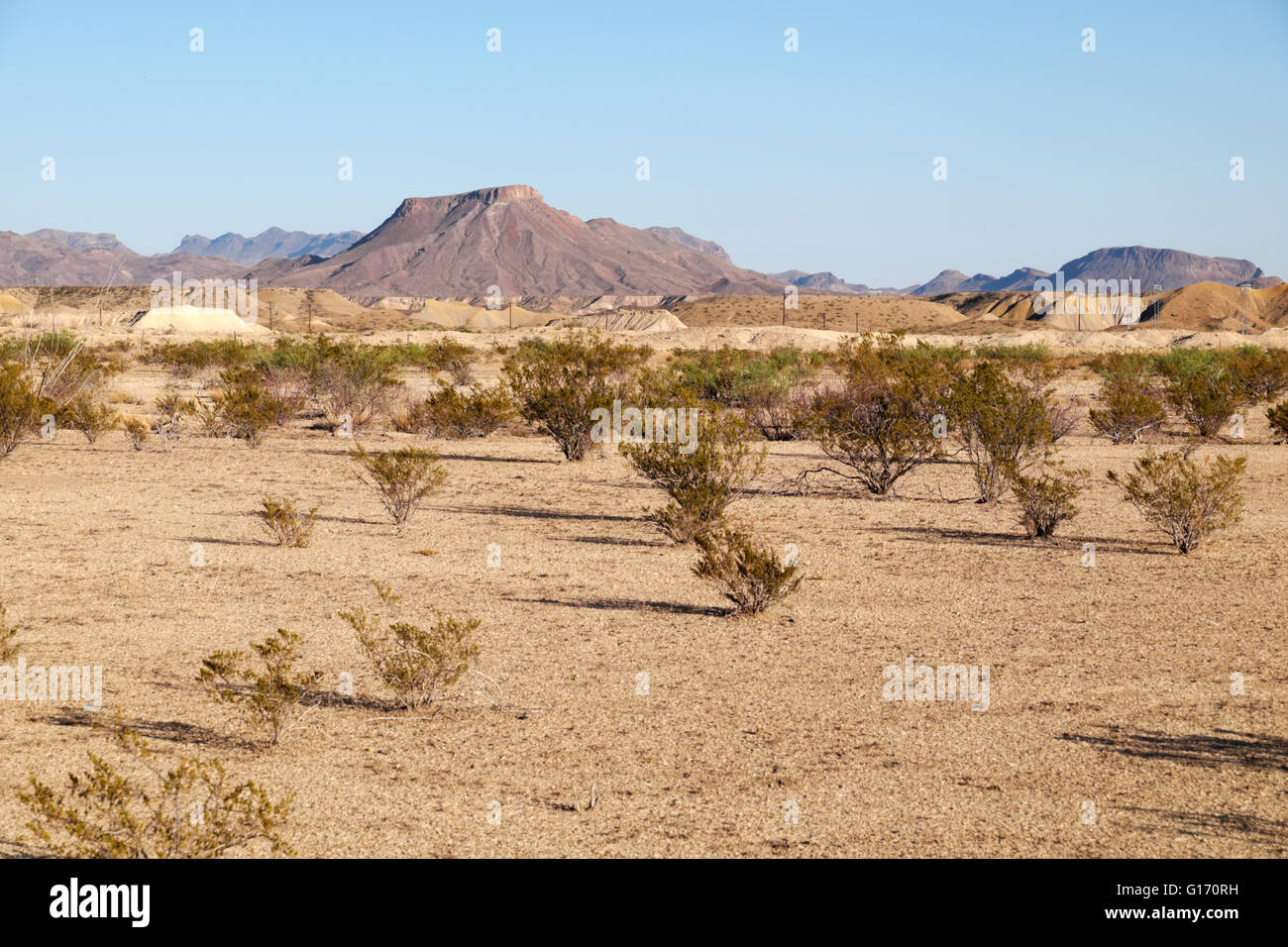 Wüste Boden Study Butte, Texas, gerade westlich von der Big Bend Nationalpark. Stockfoto
