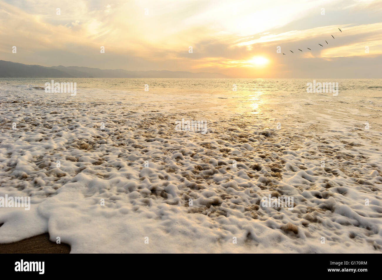 Sonnenuntergang Vögel fliegen ist Vögel im Flug von Freiheit und Inspiration für eine lebendige helle Sonne gegen eine schöne orange Sonne Stockfoto