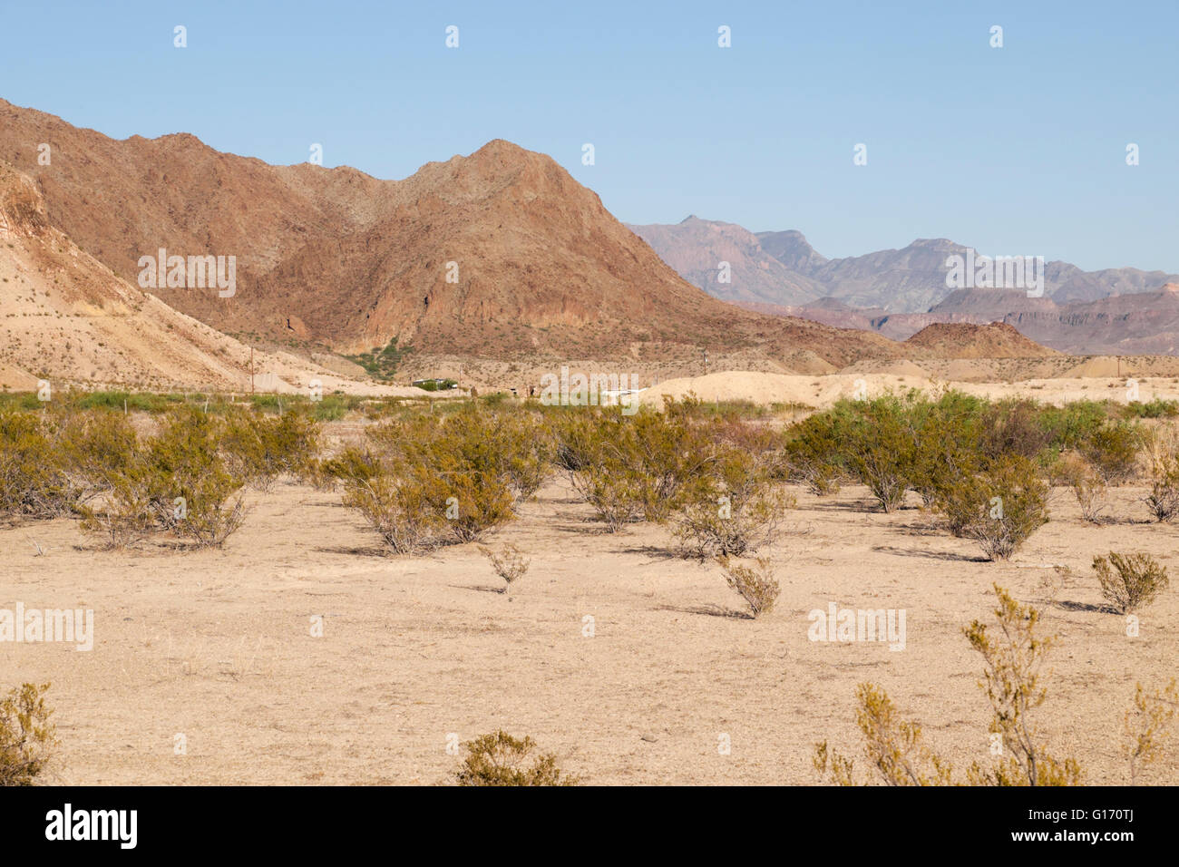 Wüste-Berge in der Nähe von Study Butte, Texas. Stockfoto