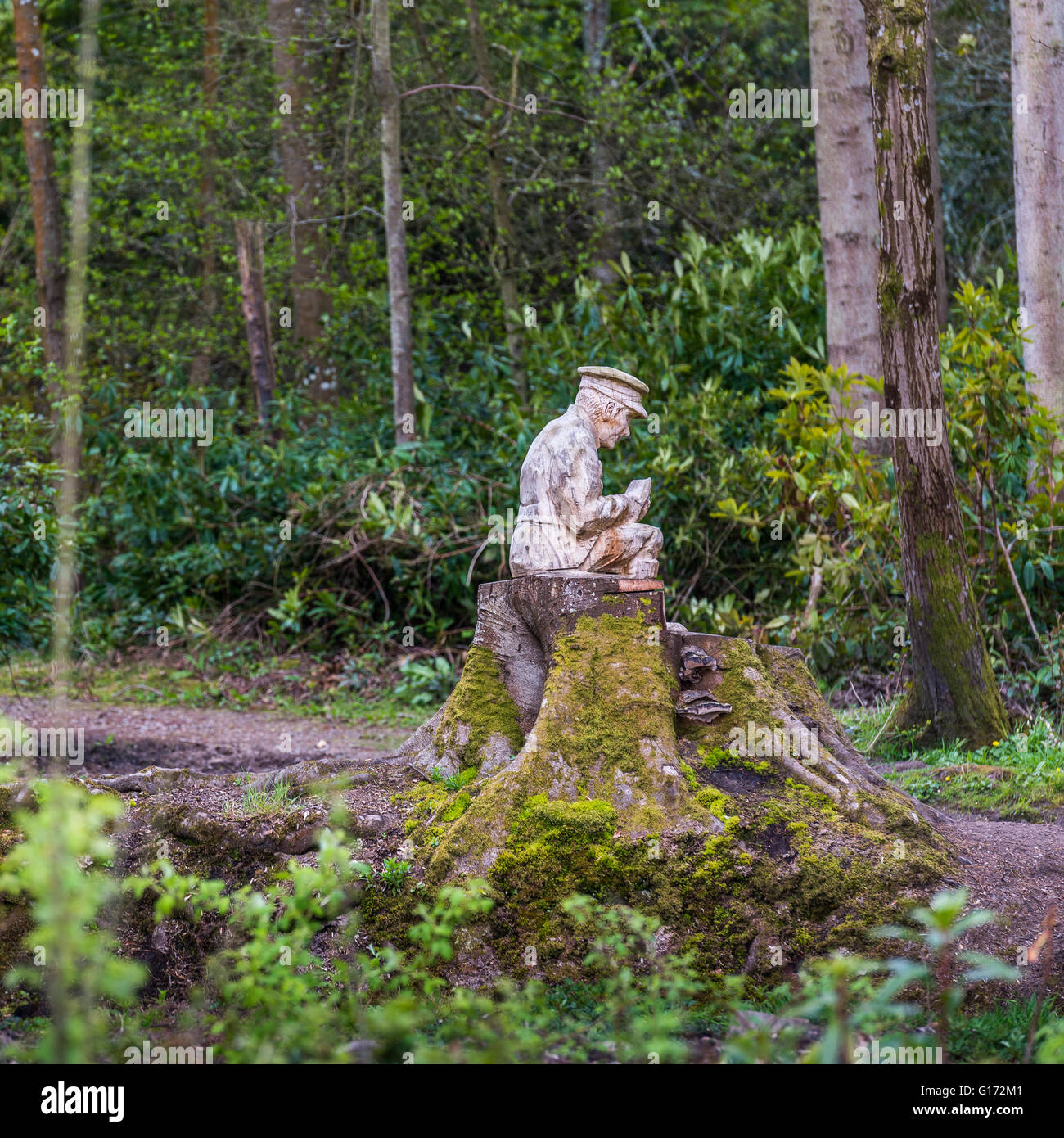 Die Rozelle Erinnerung Woodland in Ayr, Schottland. Die Gärten wurden im Rahmen der 1. Weltkrieg hundertjährigen Erinnerungen geschaffen. Stockfoto