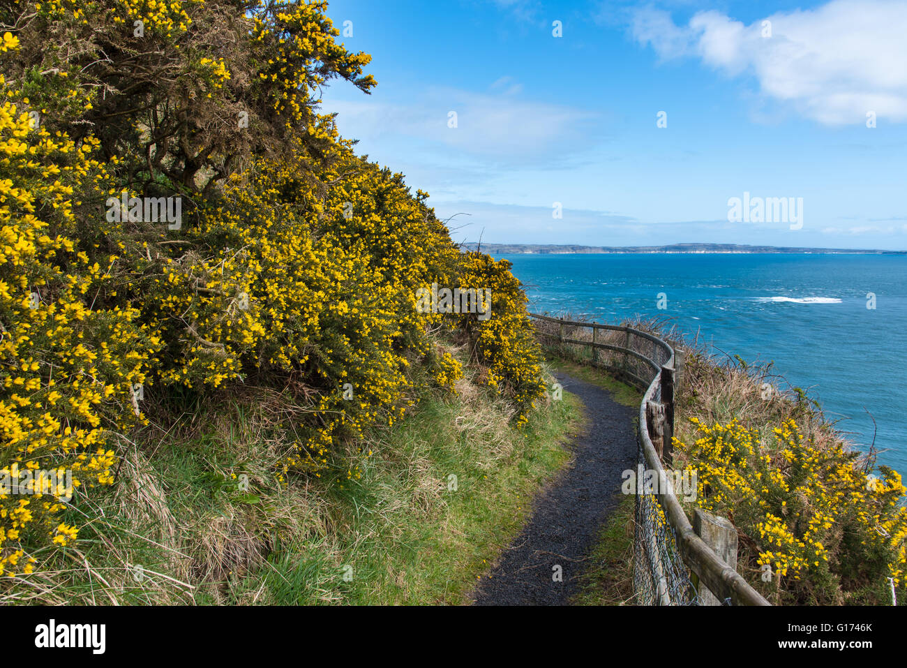Antrim Küste Wanderweg in der Nähe von Kinbane Head, County Antrim, Nordirland, Stockfoto