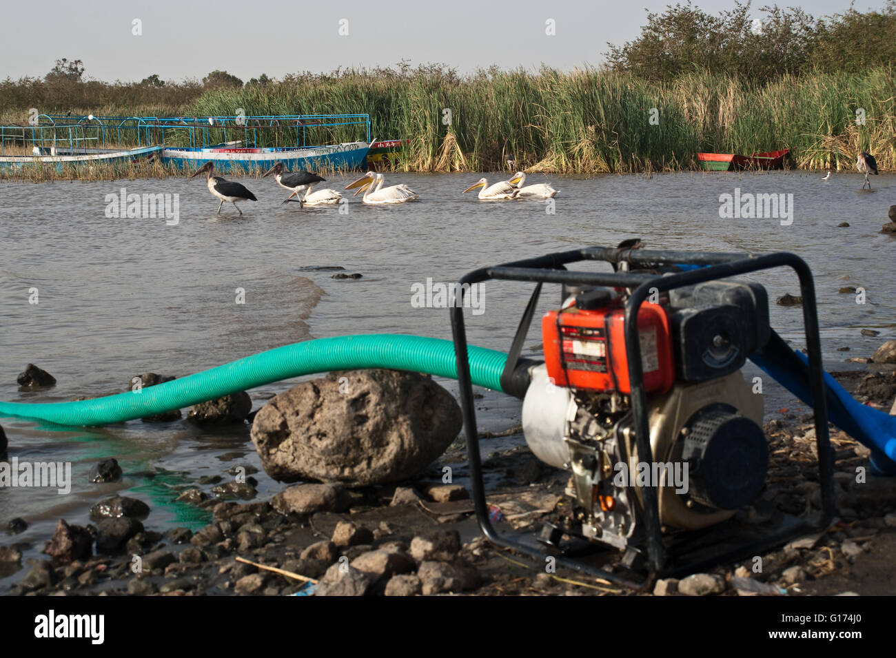 Elektrische Wasserpumpe + Vögel und Ausflugsboote im Hintergrund. Lake ZIway (Äthiopien) Stockfoto