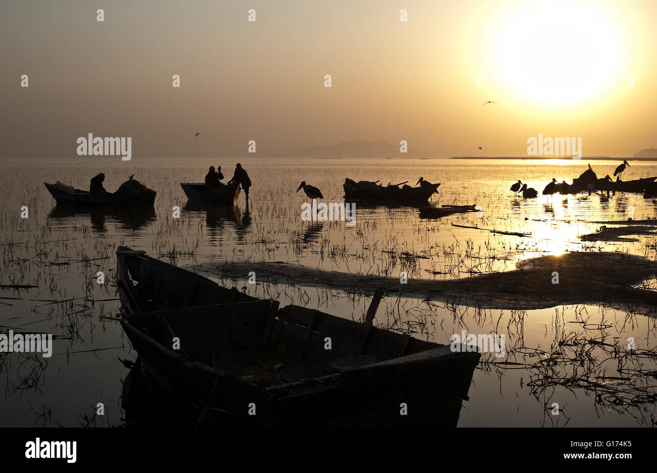 Boote, Fischer und Sonnenaufgang am Lake Ziway (Äthiopien) Stockfoto