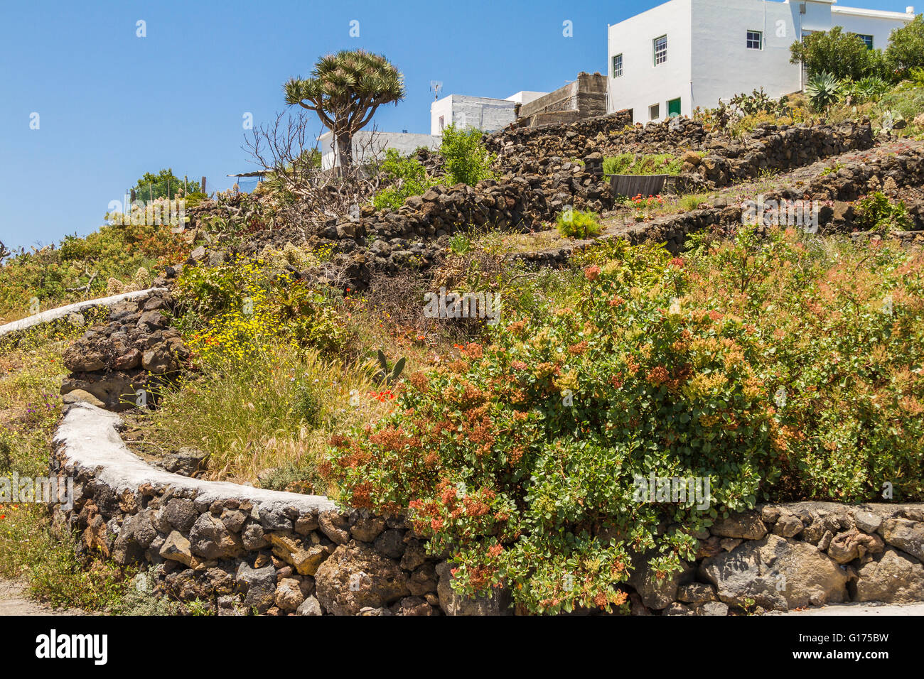Häuser an der Spitze des Hügels Fuencaliente La Palma Spanien Stockfoto