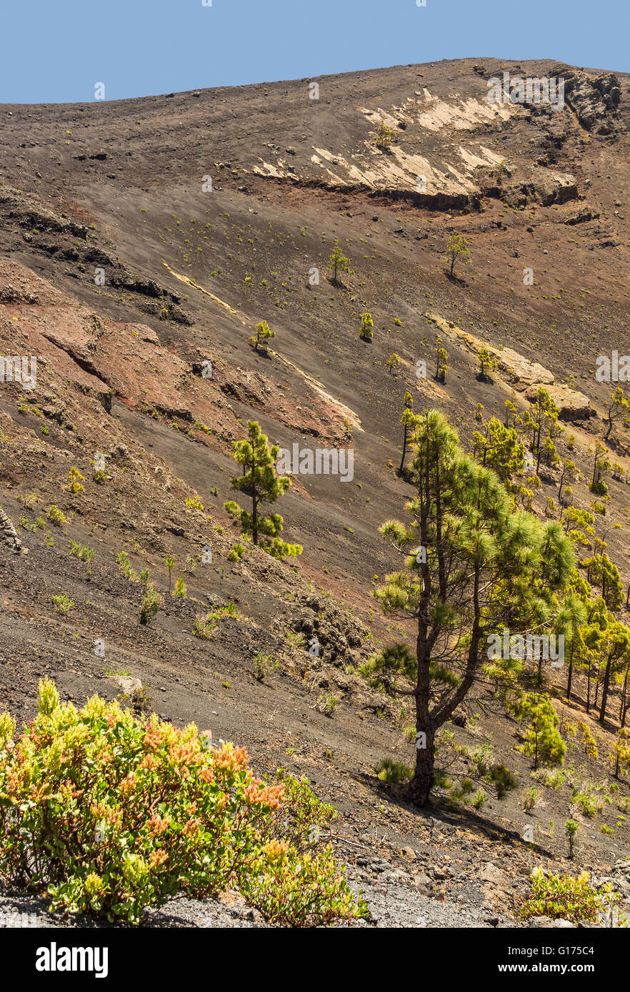 Rand des einen Krater Santa Cruz La Palma Spanien Stockfoto