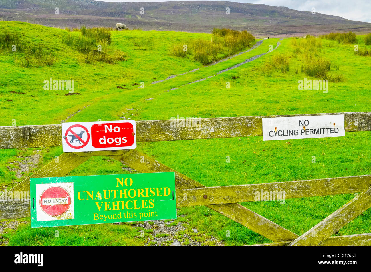 Restriktive Zeichen auf Tor am Tarnbrook im Wald von Bowland Lancashire England Stockfoto