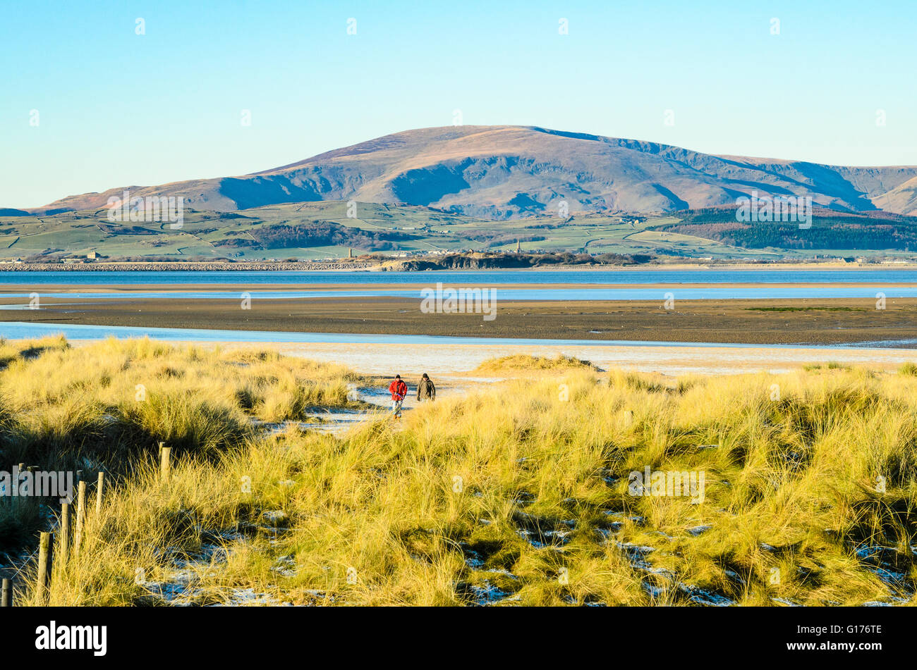 Zwei Wanderer in Dünen bei Sandscale Haws in der Nähe von Barrow-in-Furness Cumbria Blick auf Offshore-Sands, Black Combe Stockfoto