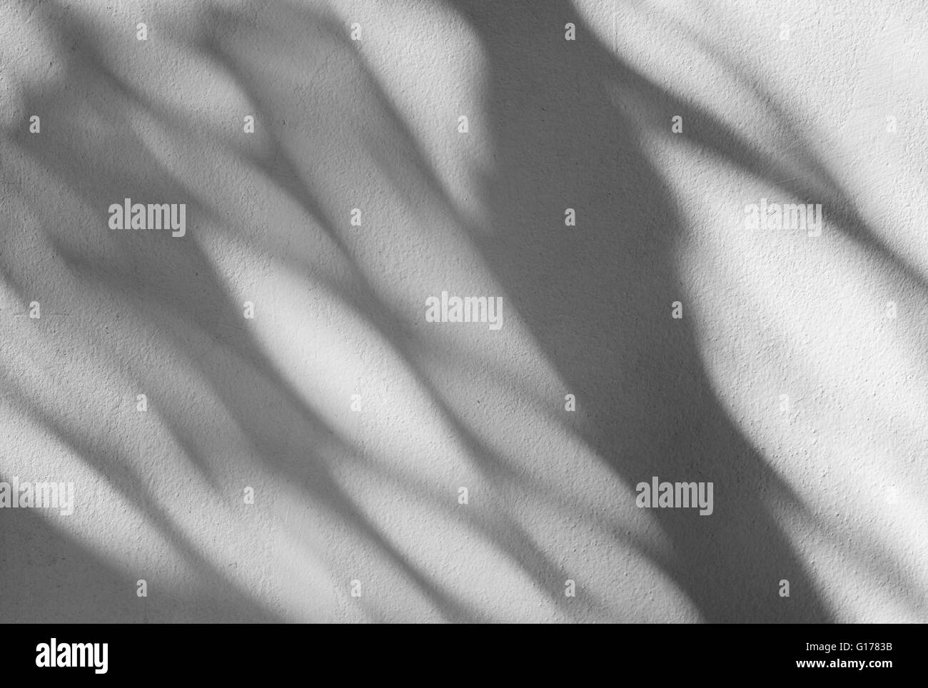 Palm Leaf Schatten auf einer weißen Wand Stockfoto