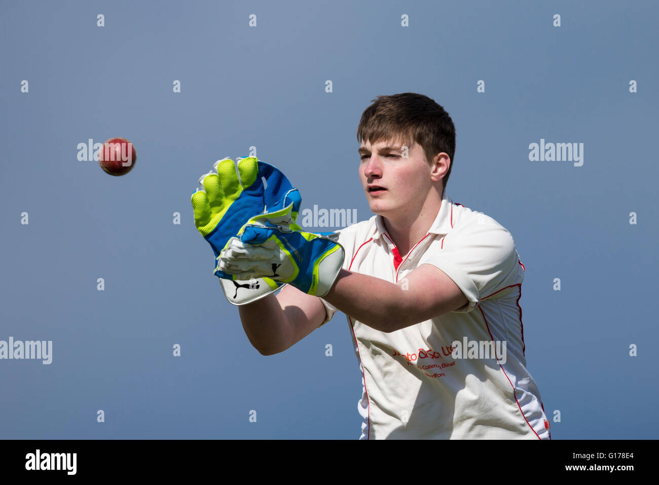 Marnhull CC 2. XI V Blandford 3. XI Blandford CC Wicketwächter in Aktion. Stockfoto