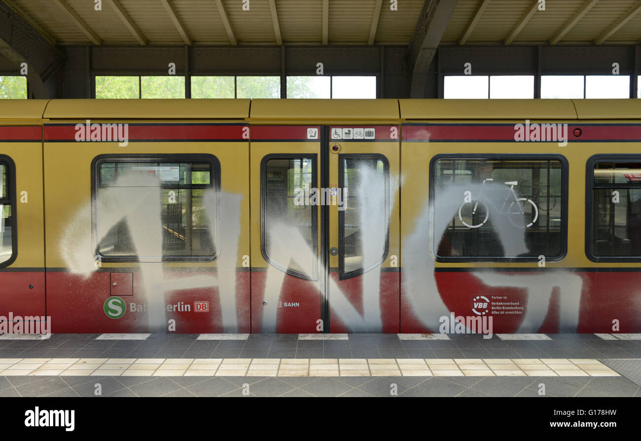 Graffiti, S-Bahn, Berlin, Deutschland / Strassenbahn Stockfoto