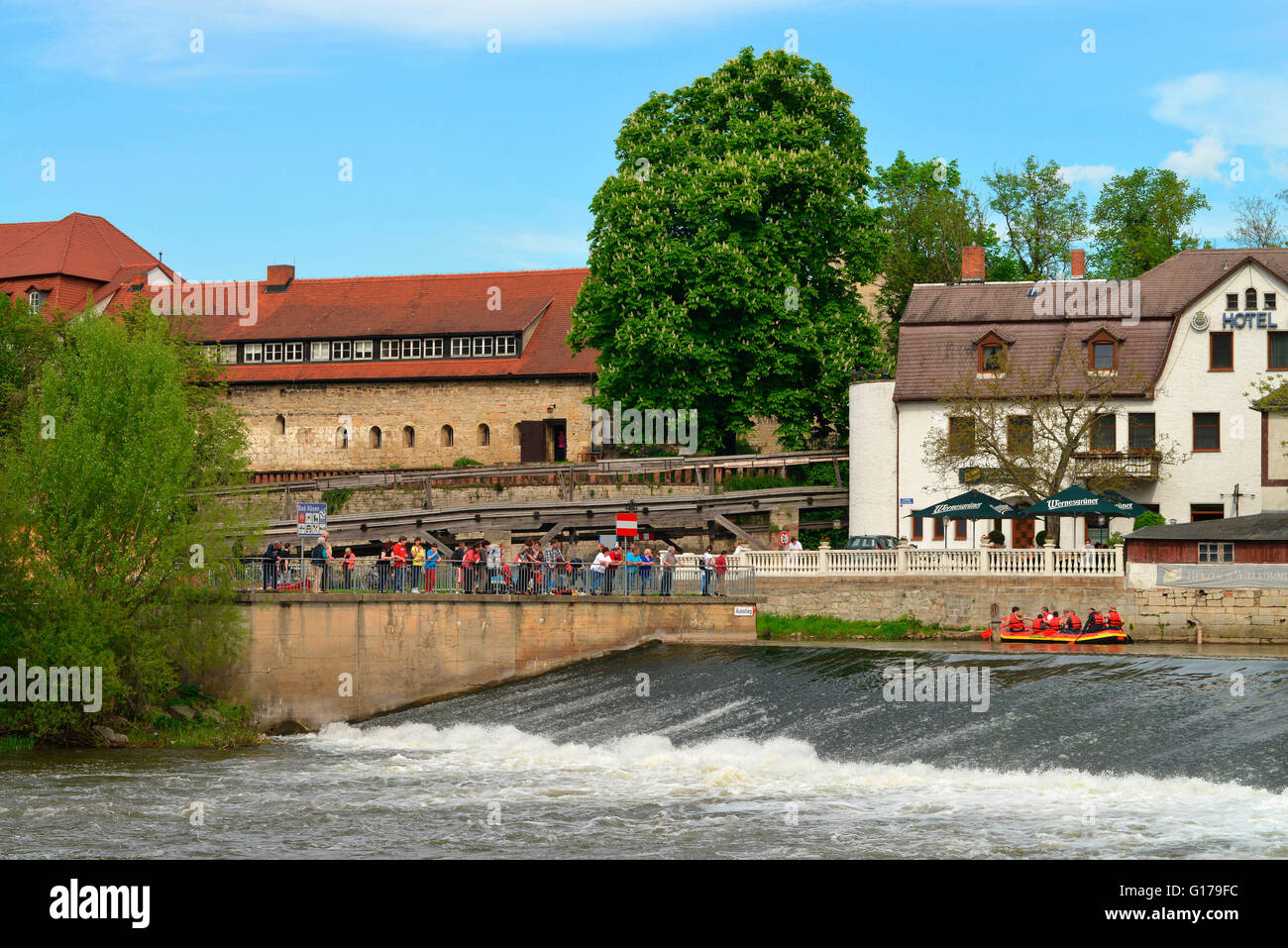 Flut, Fluss Saale, Bad Kosen, Sachsen-Anhalt, Deutschland / Bad Kösen Stockfoto