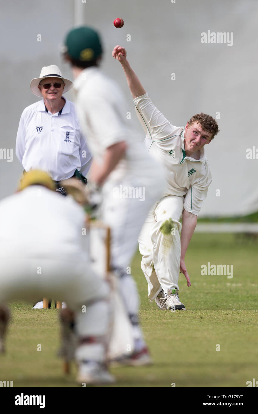 Marnhull CC 1. XI V Poole Stadt 1. XI, Marnhull Spieler bowling. Stockfoto