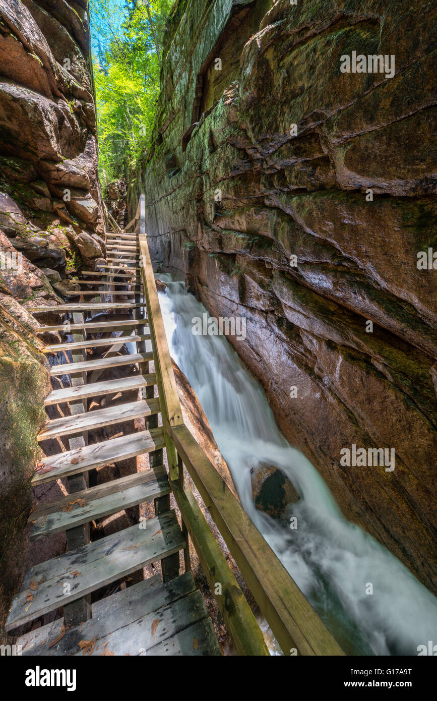 Flume Gorge in Franconia Notch State Park, New-Hampshire Stockfoto